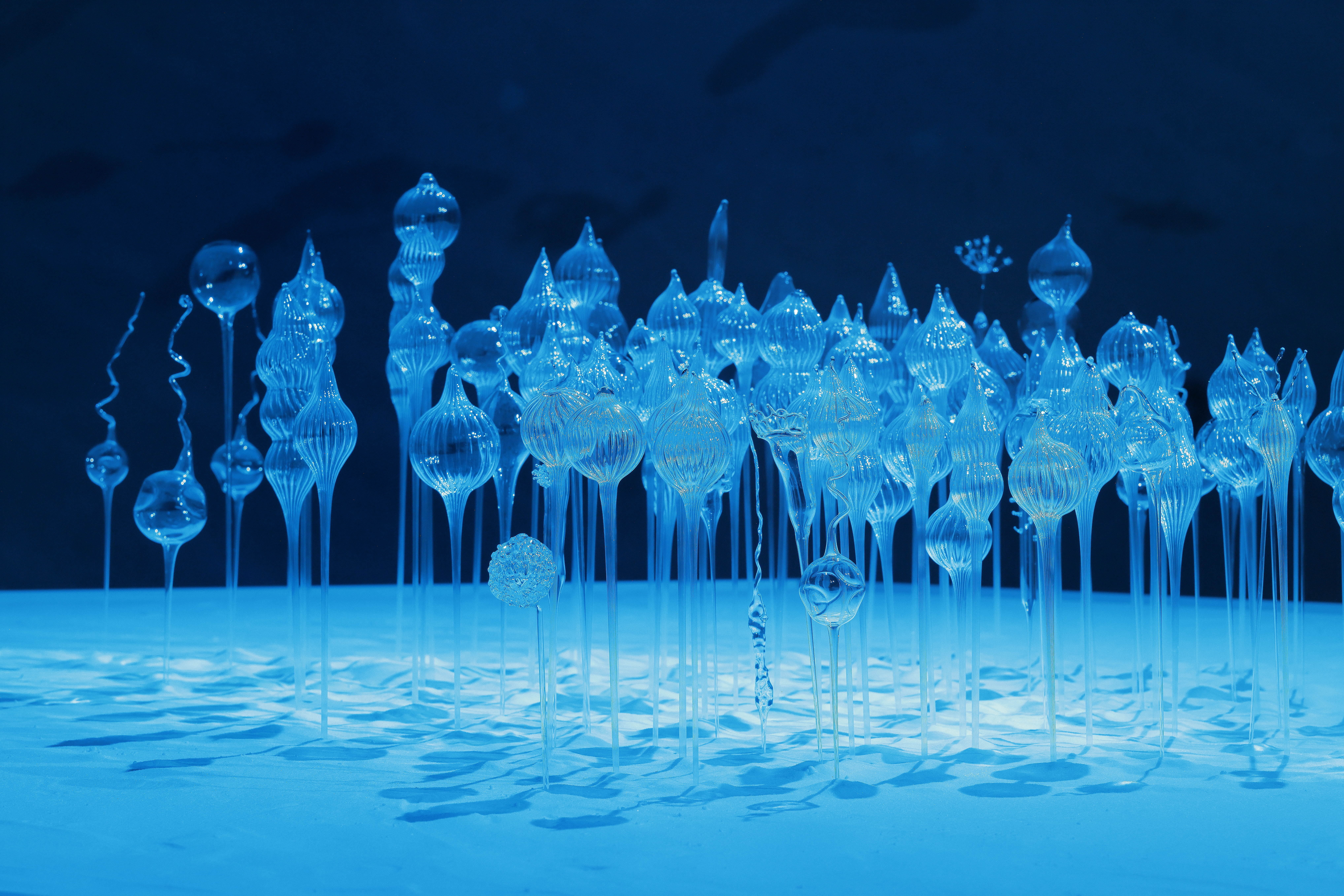 近美コレクション】1945-2025 美術は何を記憶しているか | 北海道立